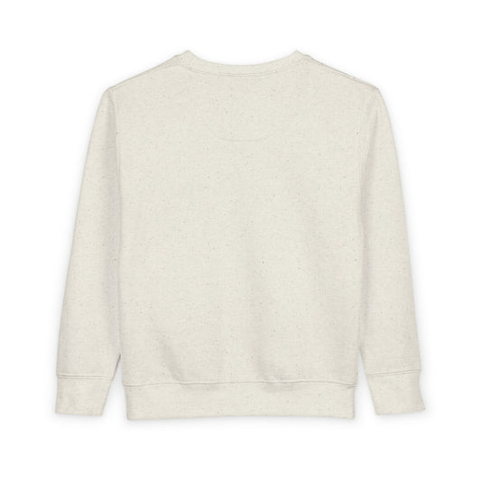 DSO Toddler Sweatshirt